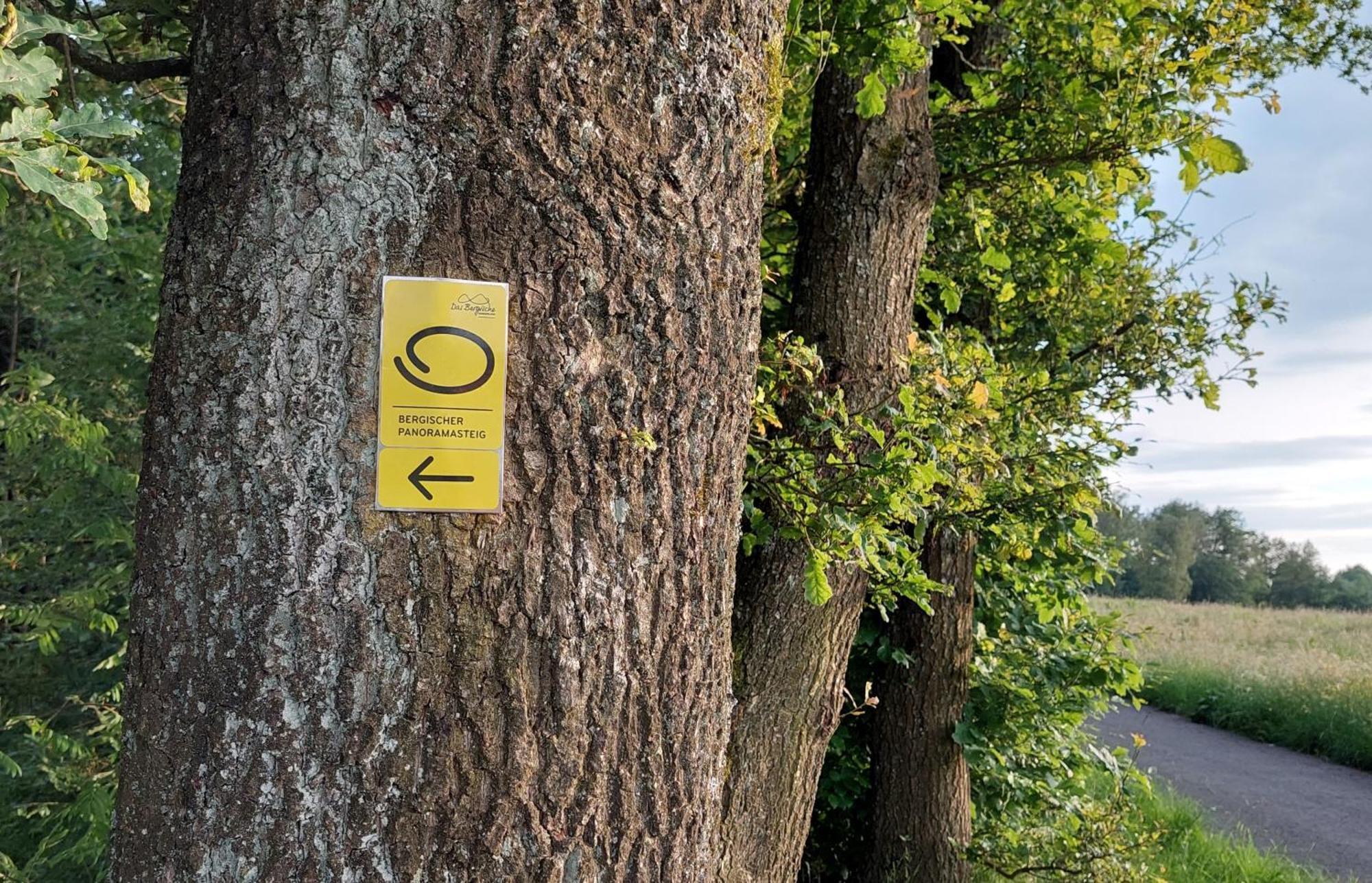 Ferienwohnung Waldbroel - Nahe Naturerlebnispark Вальдбрёль Экстерьер фото